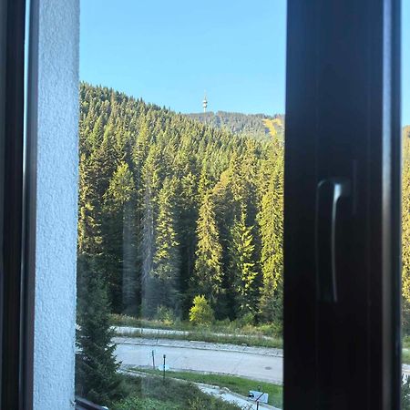 Тайната Квартира - The Secret Apartment Pamporovo Exteriör bild